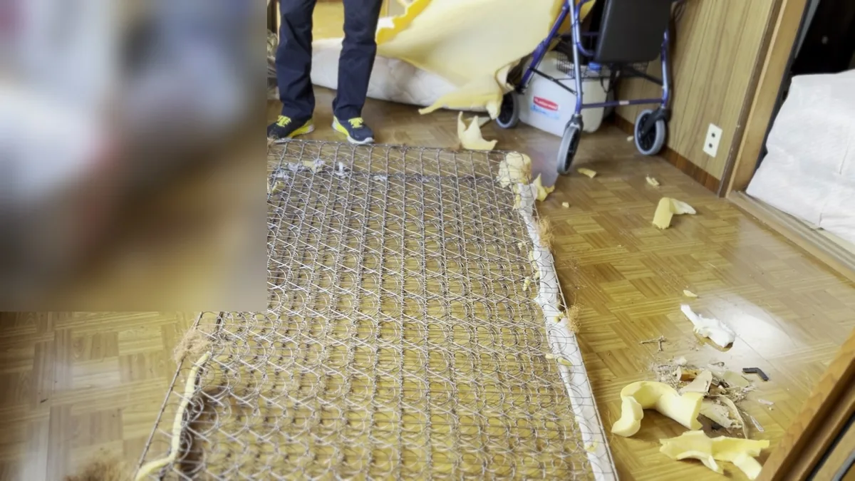 布とウレタンを取り除き、スプリングの骨組みだけになったマットレス